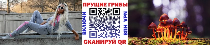 Галлюциногенные грибы GOLDEN TEACHER  Себеж 